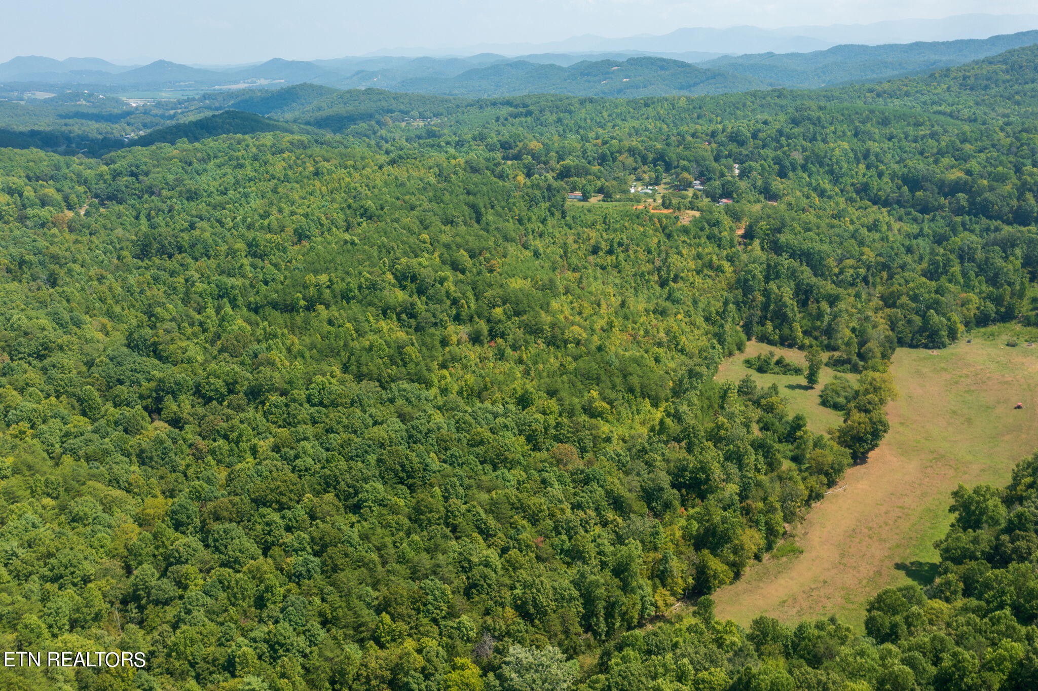 600 Beatys Chapel Road Tellico Plains, TN 37385 - Photo 18 of 24 Gallery Image 18