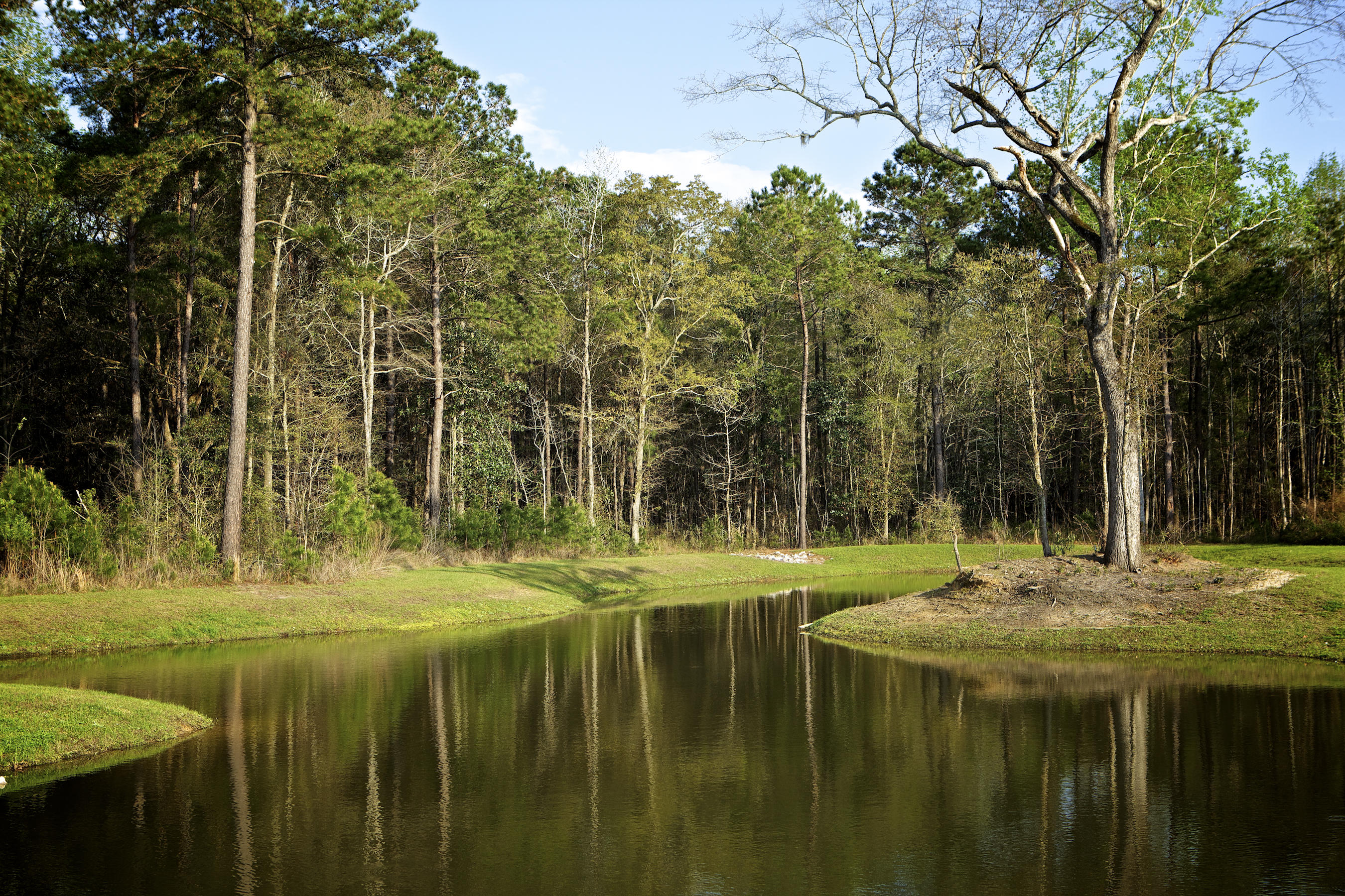 1504 Roustabout Way Charleston, SC 29414 - Photo 46 of 56 BL Pond