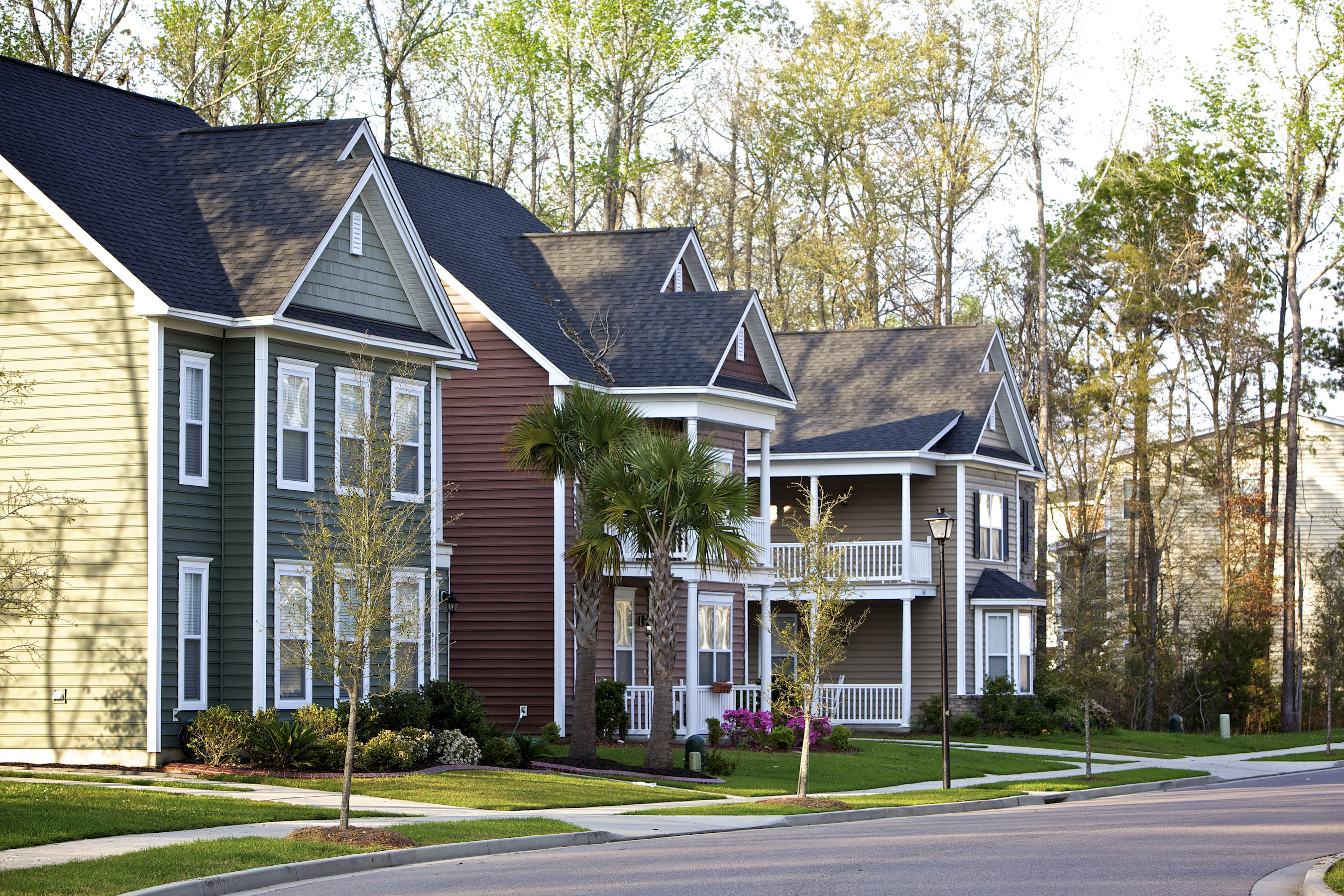1504 Roustabout Way Charleston, SC 29414 - Photo 49 of 56 BL Streetscape 8