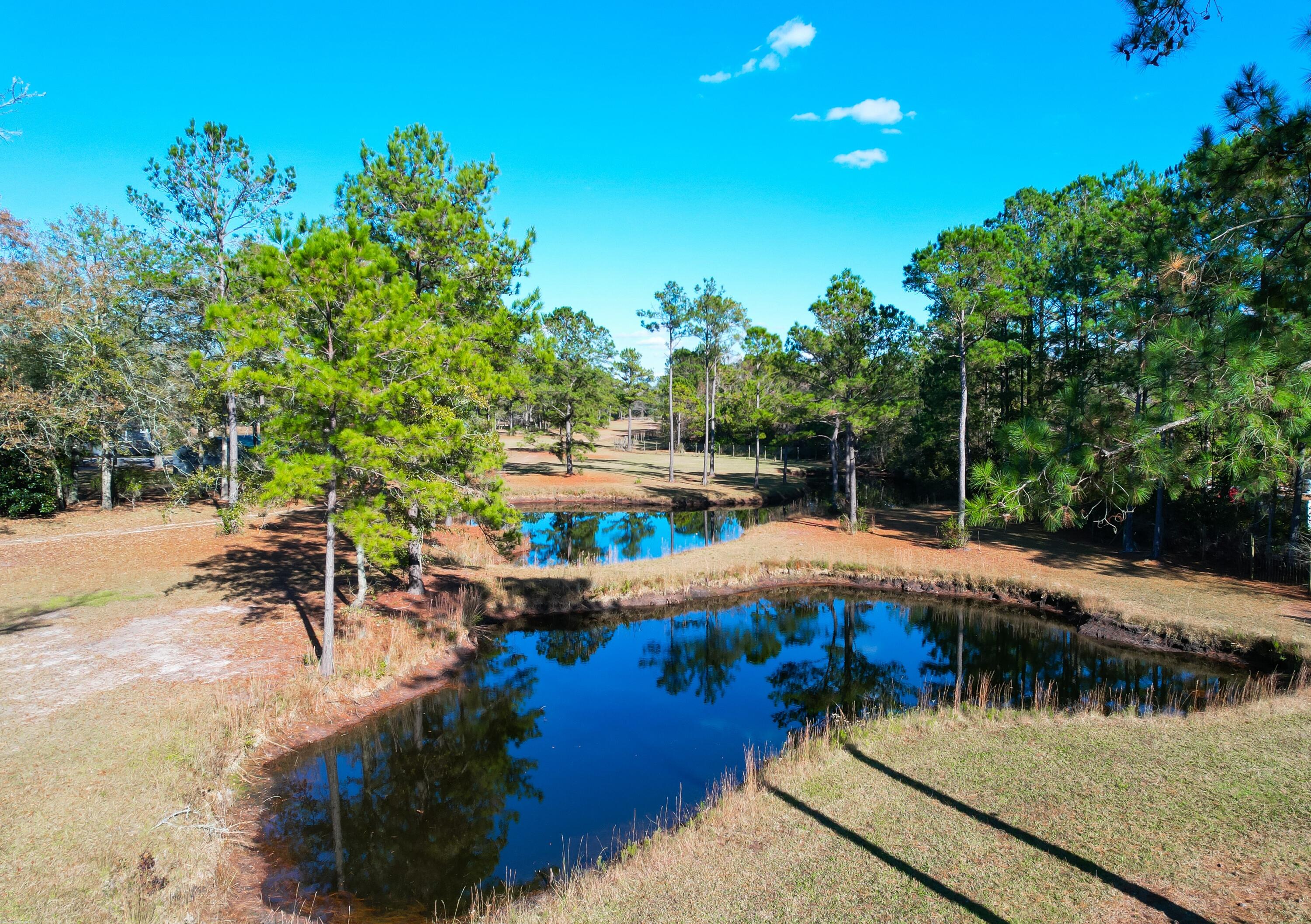 6615 Old Jacksonboro Road Ravenel, SC 29470 - Photo 54 of 60 6615 Old Jacksonboro -Tidalcreekphoto- (