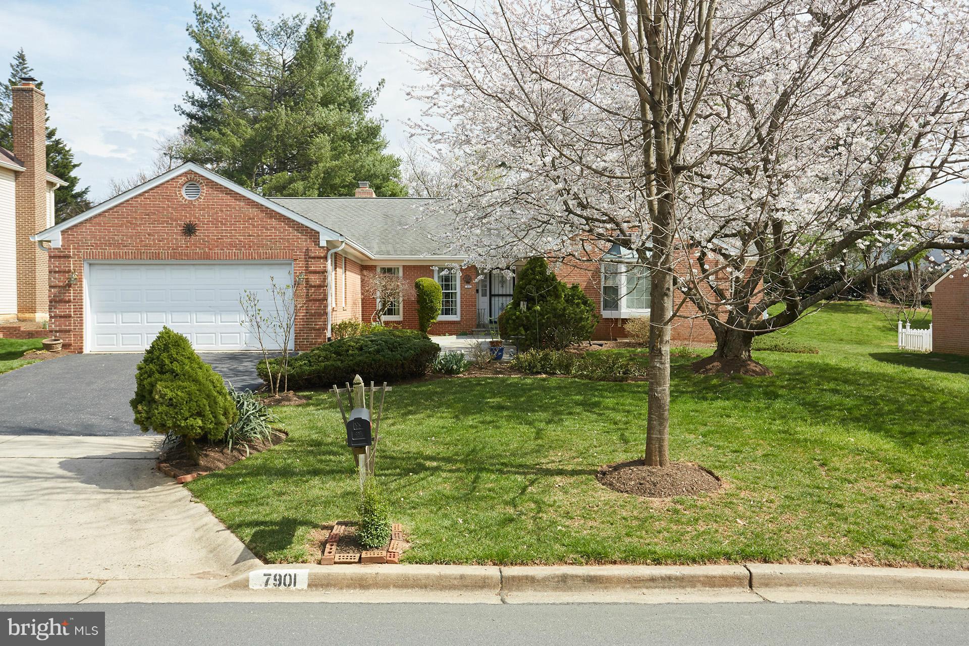 7901 Burdette Road Bethesda, MD 20817 - Photo 1 of 30 Exterior (Front)