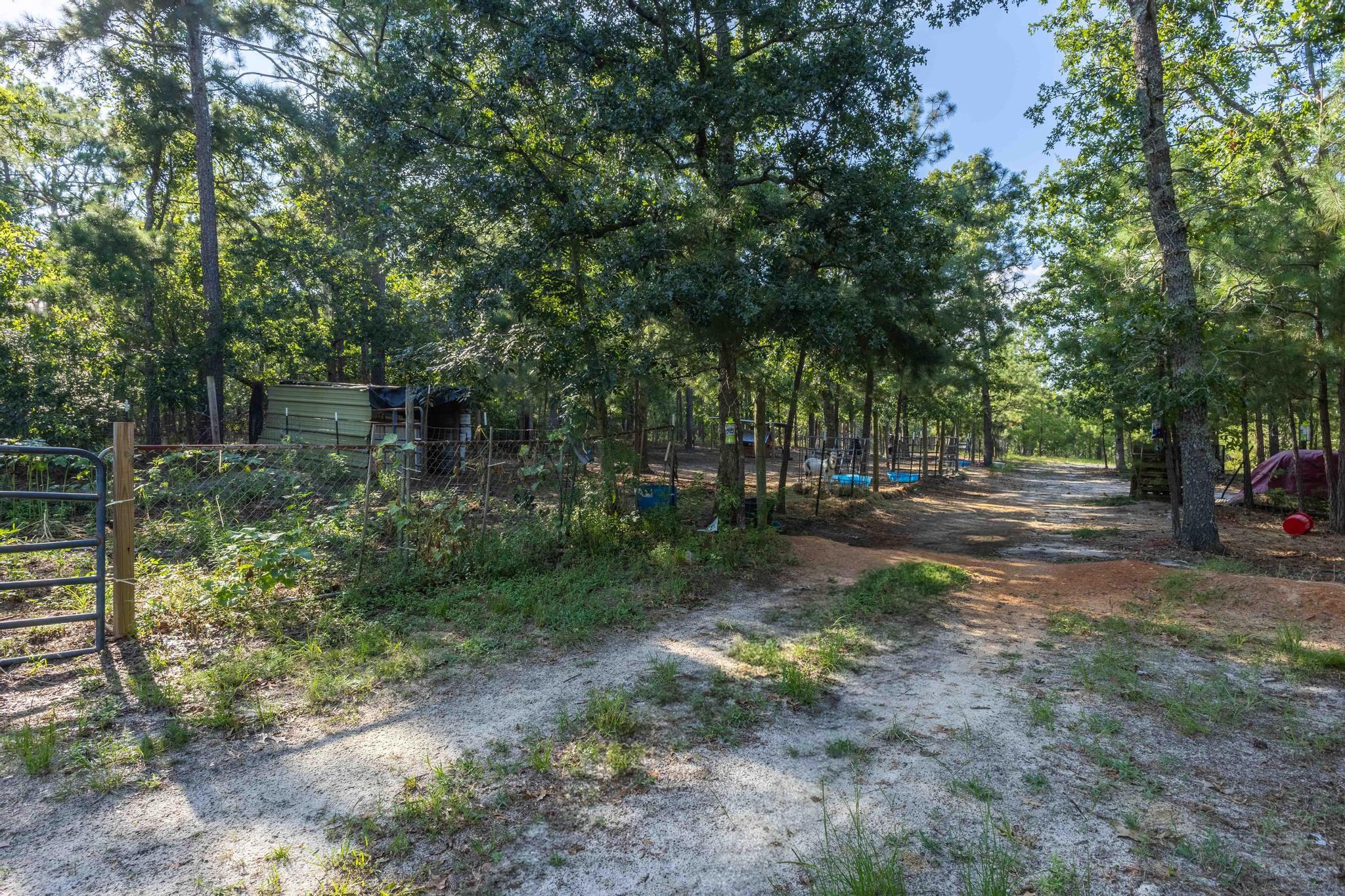 730 Springfield Church Road Aiken, SC 29801 - Photo 15 of 18 Gallery Image 15