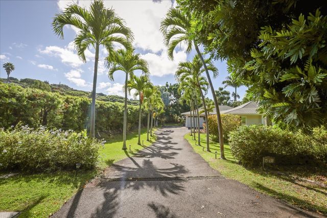a view of a park with plants and palm trees