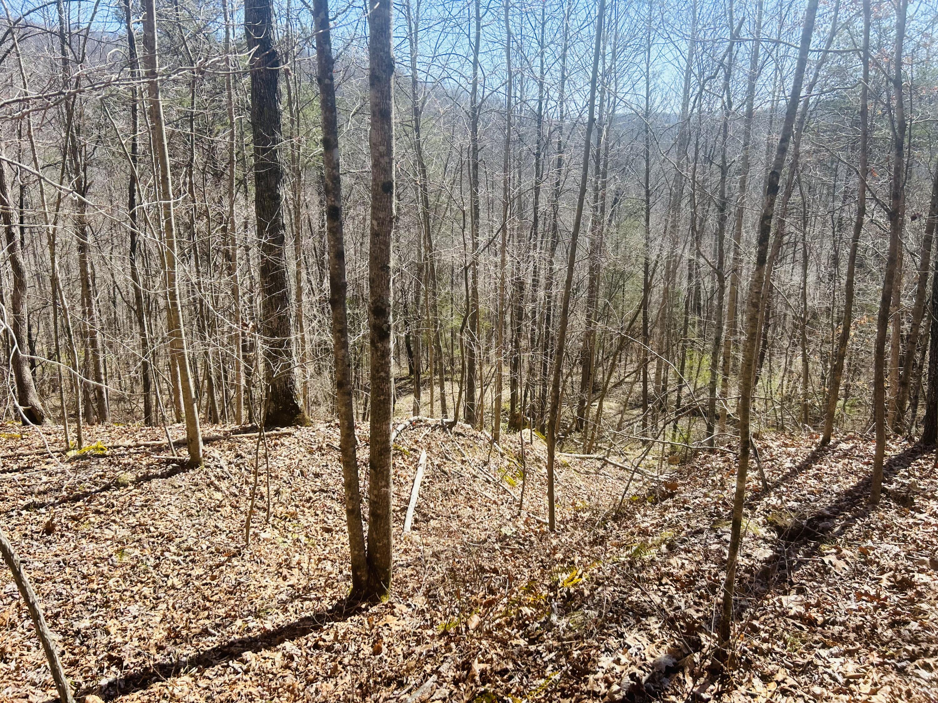 0 Pittman Branch Road Mount Vernon, KY 40456 - Photo 3 of 14 A0DEE8C6-8FEF-4A78-9AEC-84FA05F06374