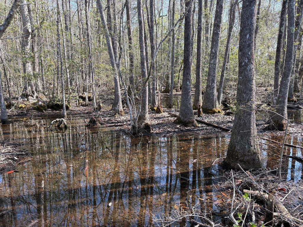 87 Highway 87 Samson, AL 36477 - Photo 39 of 47