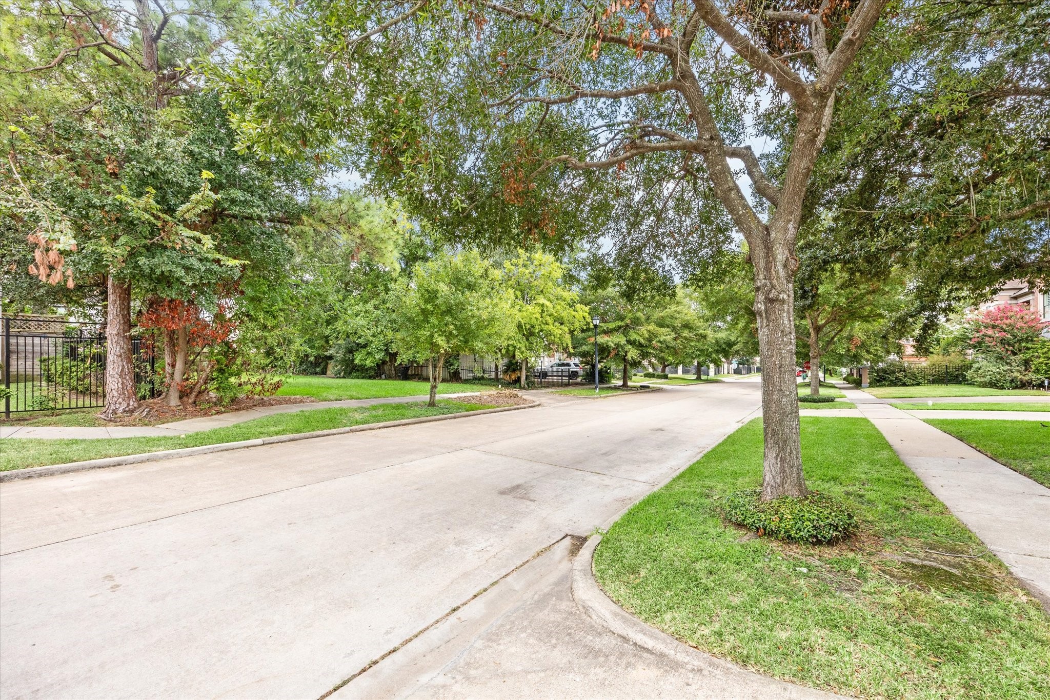 5357 Lampasas Street Houston, TX 77056 - Photo 6 of 6 a view of a park with large trees