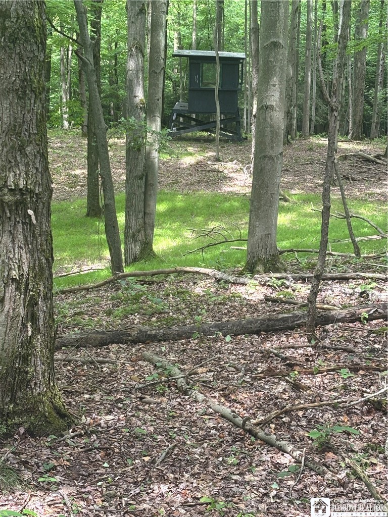 1471 Loomis Road Rexville, NY 14877 - Photo 21 of 50
