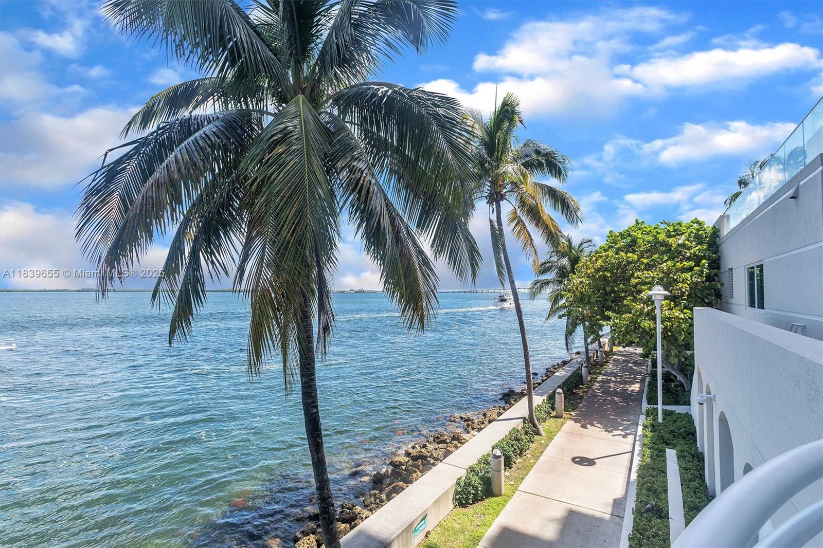 Brickell Miami, FL 33131 - Photo 7 of 32 a view of backyard with palm trees