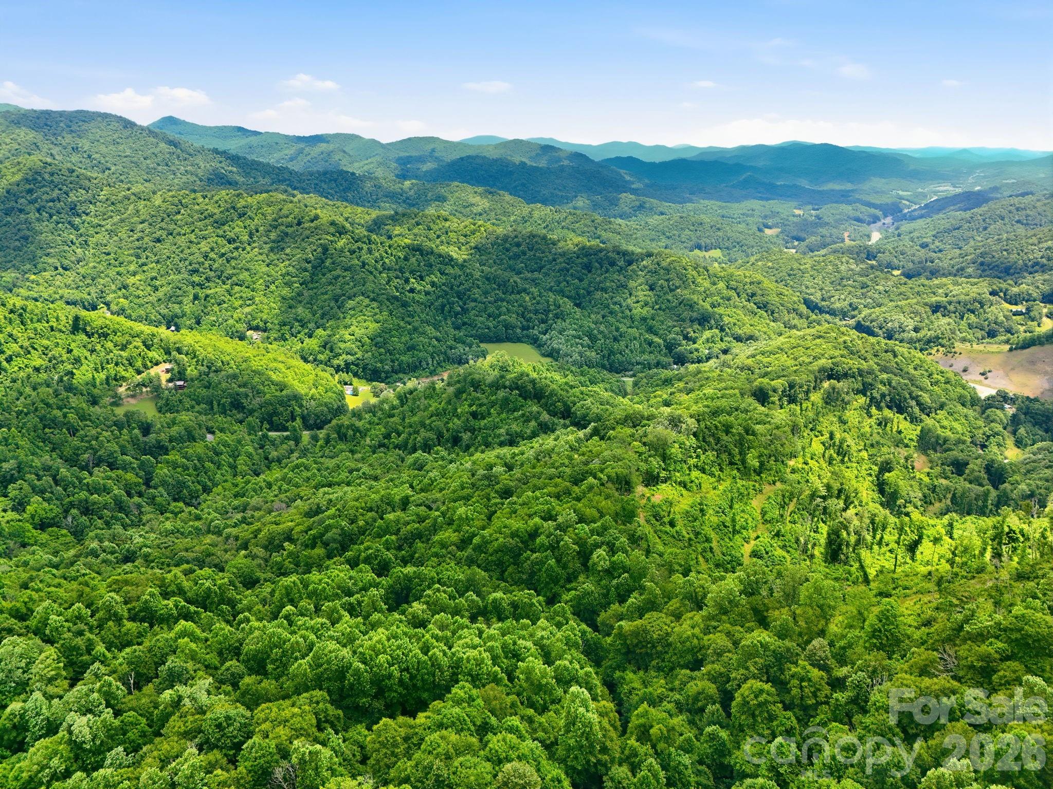 Tbd Windy Gap Road, Unit TRACT B Mars Hill, NC 28754 - Photo 3 of 13