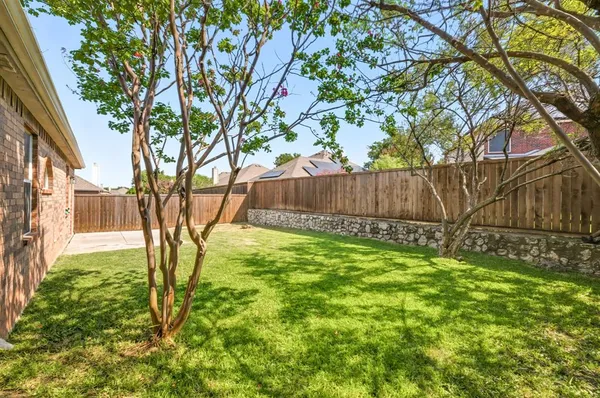 a view of backyard with tree