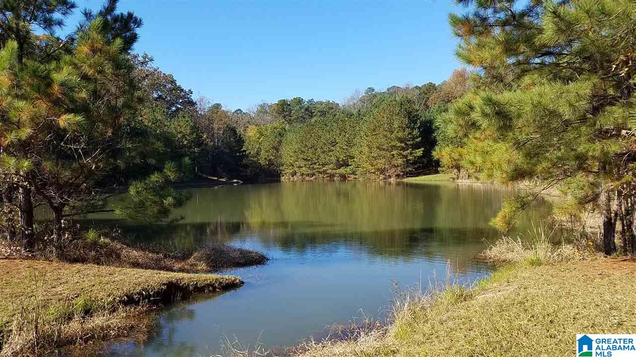 298 Bowerman Road Blountsville, AL 35031 - Photo 8 of 30