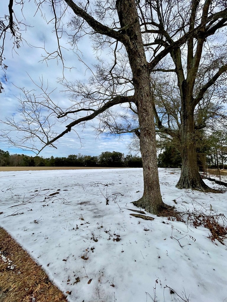 0 LUKE KING Road Enigma, GA 31749 - Photo 6 of 15 Gallery Image 6
