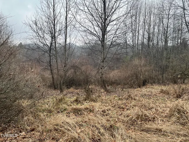 $22,500 | Tbd Rough Ridge Road, Pound, VA 24279