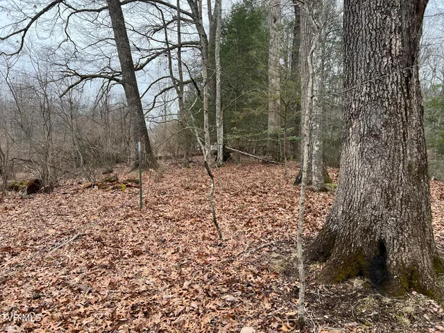 $22,500 | Tbd Rough Ridge Road, Pound, VA 24279