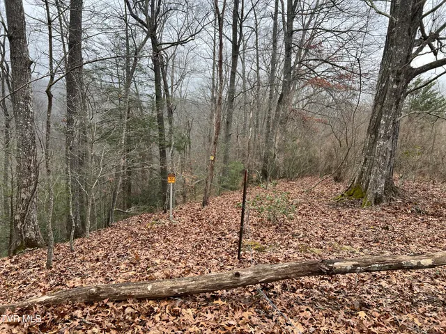 $22,500 | Tbd Rough Ridge Road, Pound, VA 24279