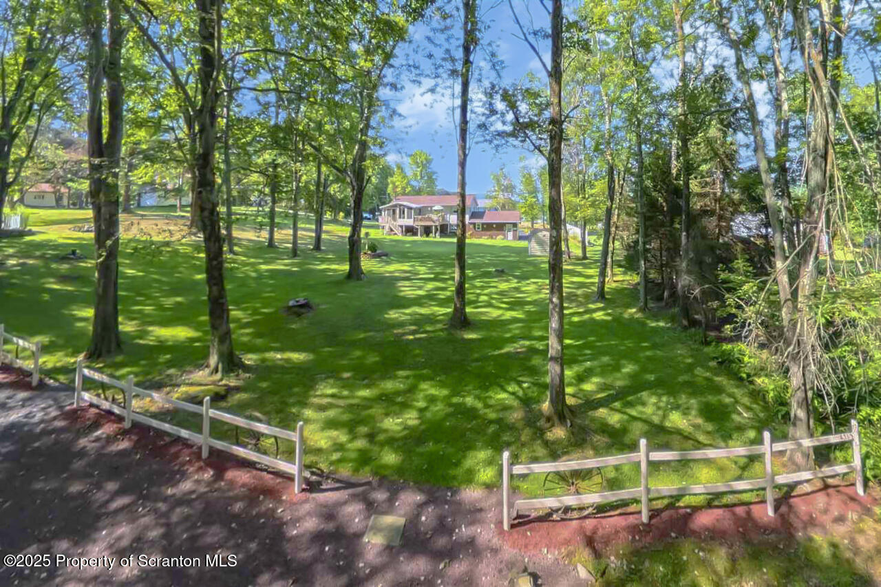 143 Beech Road Moscow, PA 18444 - Photo 73 of 89 a view of a bench in the garden