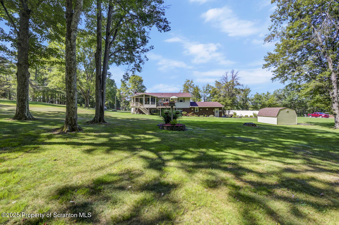 143 Beech Road Moscow, PA 18444 - Photo 79 of 89 a view of a park with large trees