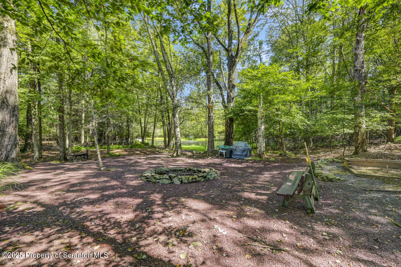 143 Beech Road Moscow, PA 18444 - Photo 82 of 89 a view of a tree in the middle of a yard