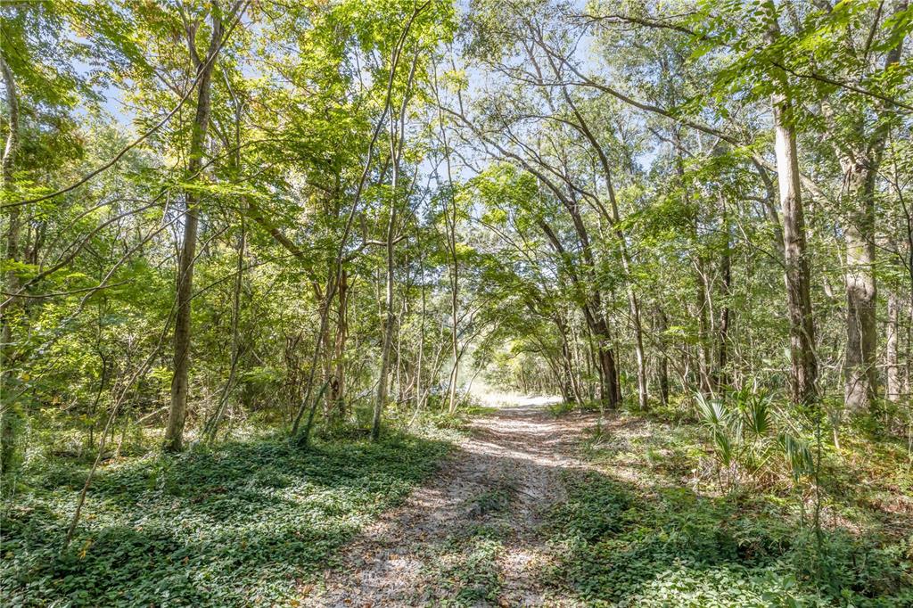 1624 Greens Dairy Road DeLand, FL 32720 - Photo 22 of 51 a view of outdoor space and yard