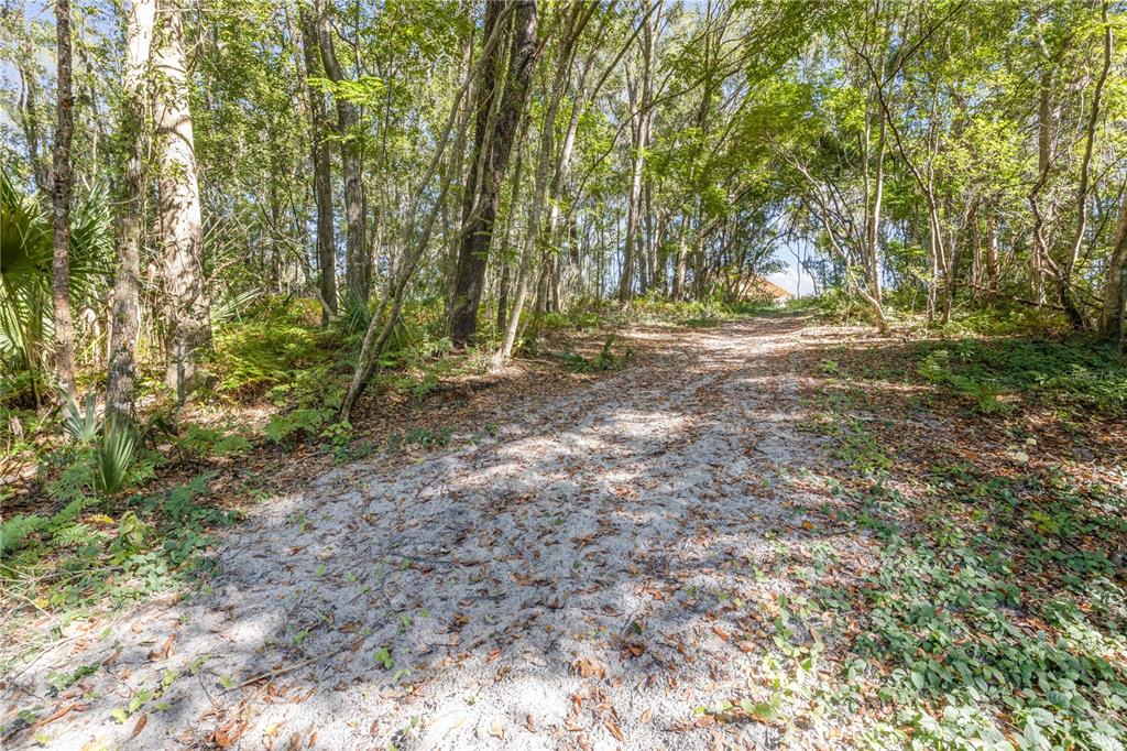 1624 Greens Dairy Road DeLand, FL 32720 - Photo 26 of 51 a view of outdoor space with trees
