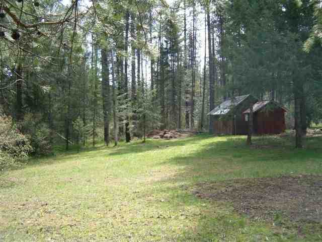 3842 Larch Road Loon Lake, WA 99148 - Photo 5 of 7 Gallery Image 5