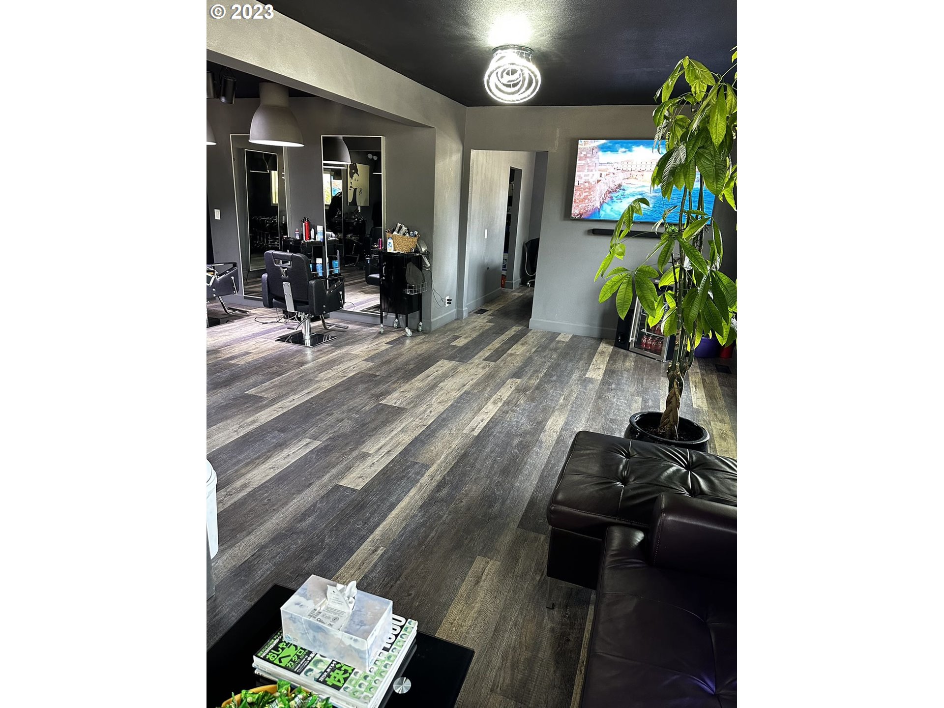 509 East 13th Avenue Eugene, OR 97401 - Photo 15 of 21 a view of living room with furniture and a potted plant