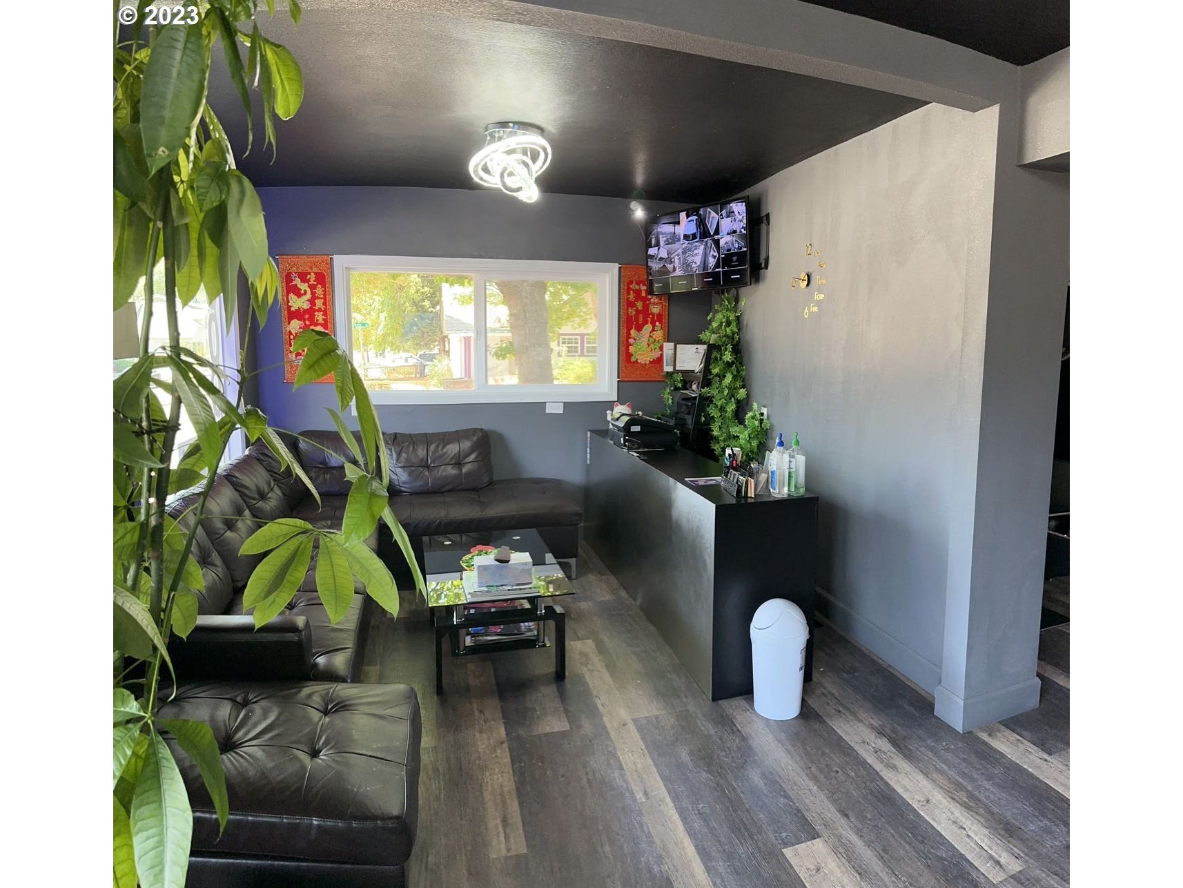 509 East 13th Avenue Eugene, OR 97401 - Photo 5 of 21 a living room with furniture and a potted plant