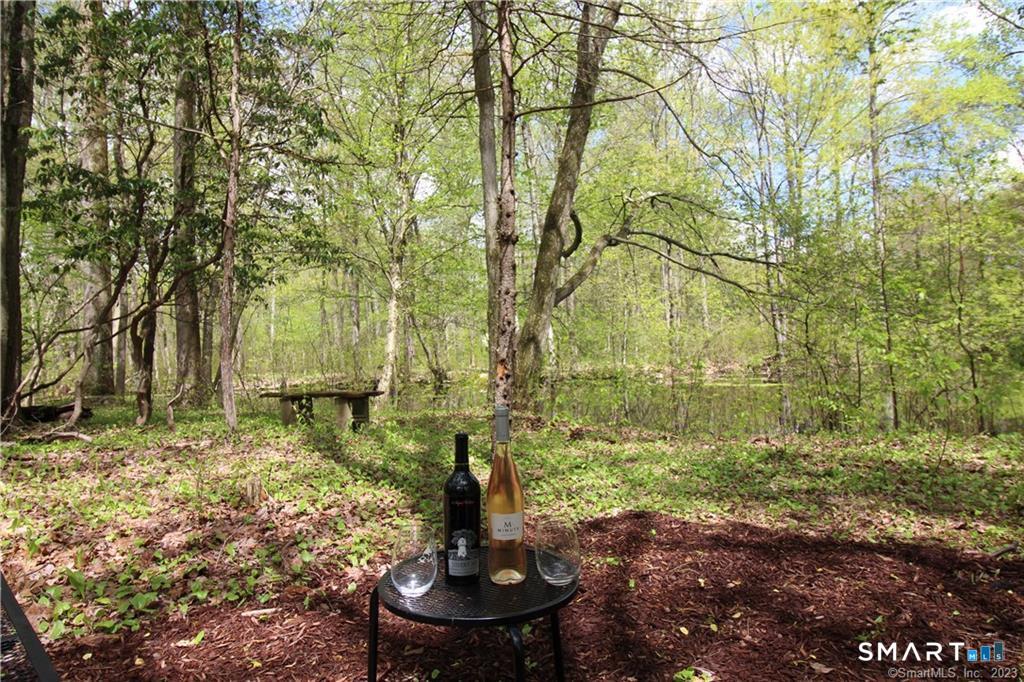 792 Smith Ridge Road New Canaan, CT 06840 - Photo 37 of 40 Relax at the Pond