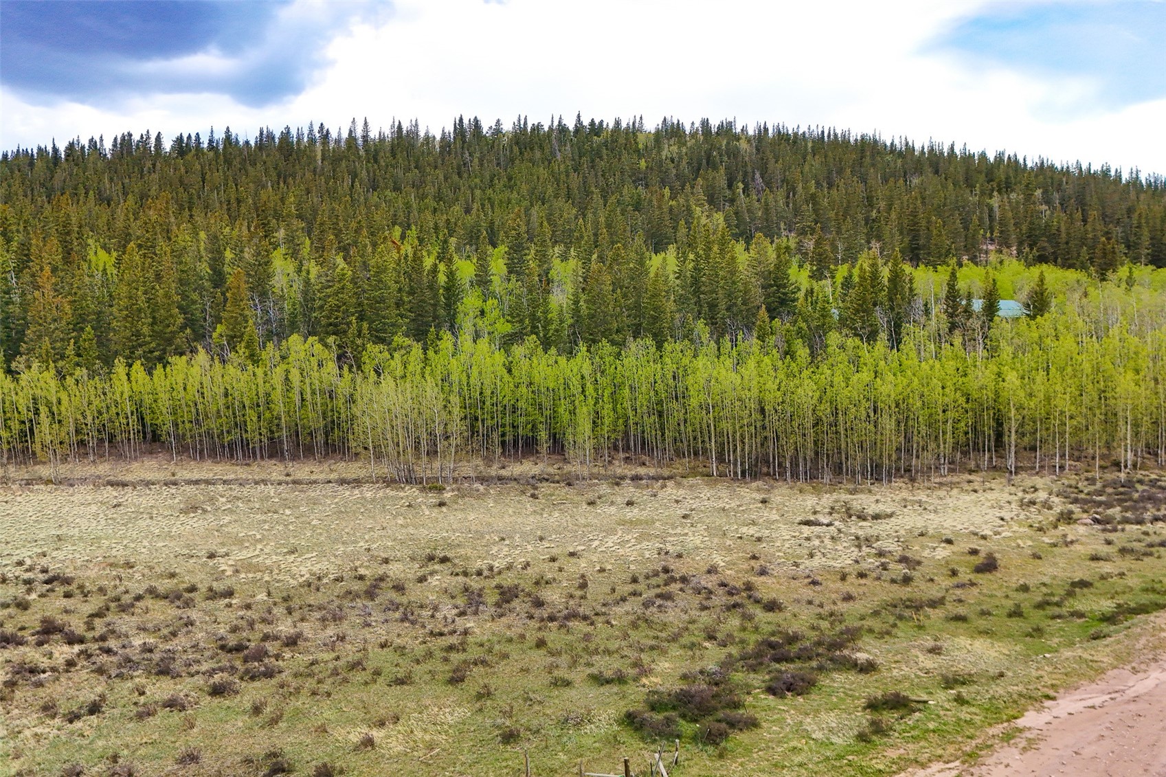 Tbd Michigan Hill Road Jefferson, CO 80456 - Photo 7 of 44