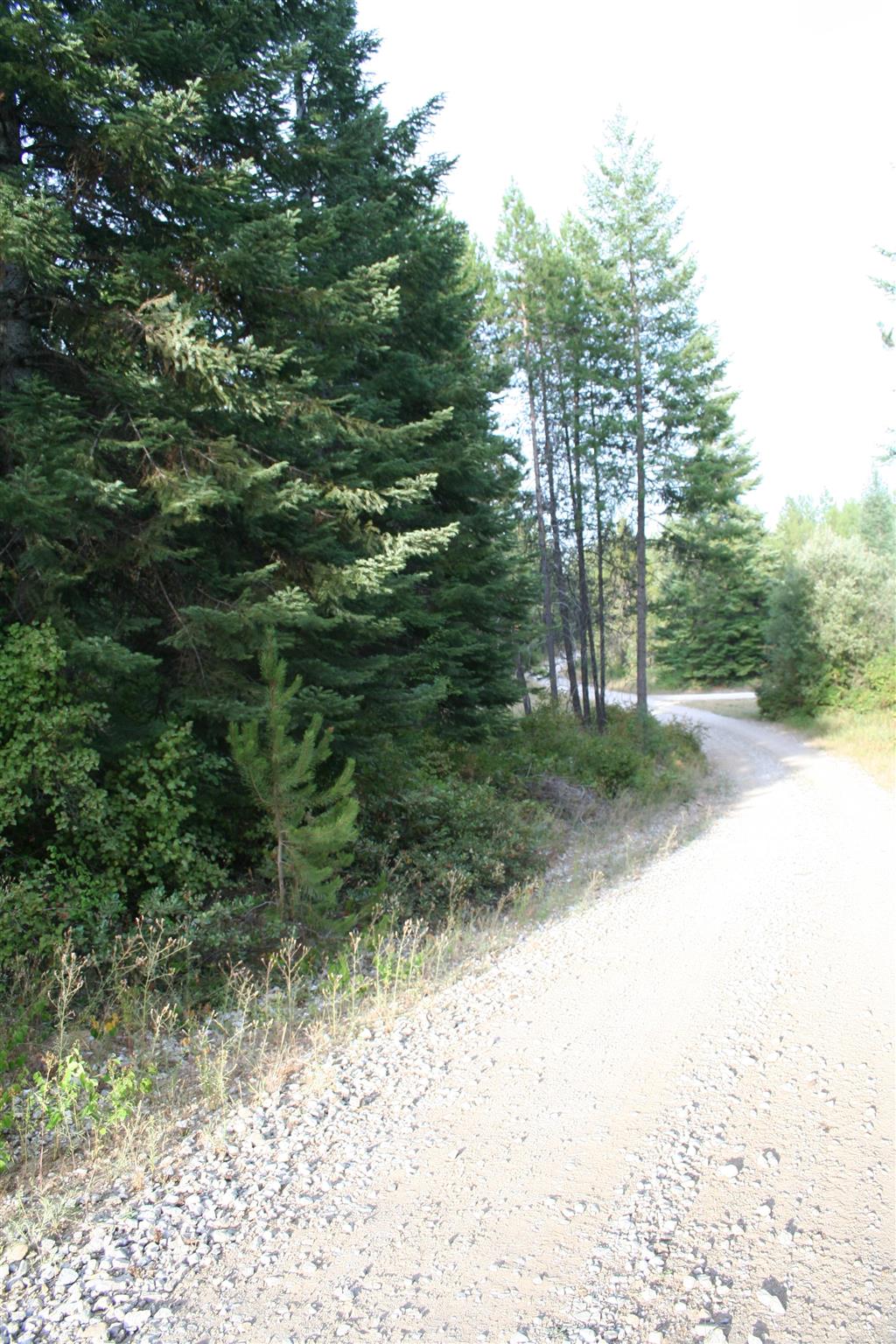 Xxxx Luther Road Springdale, WA 99173 - Photo 11 of 27