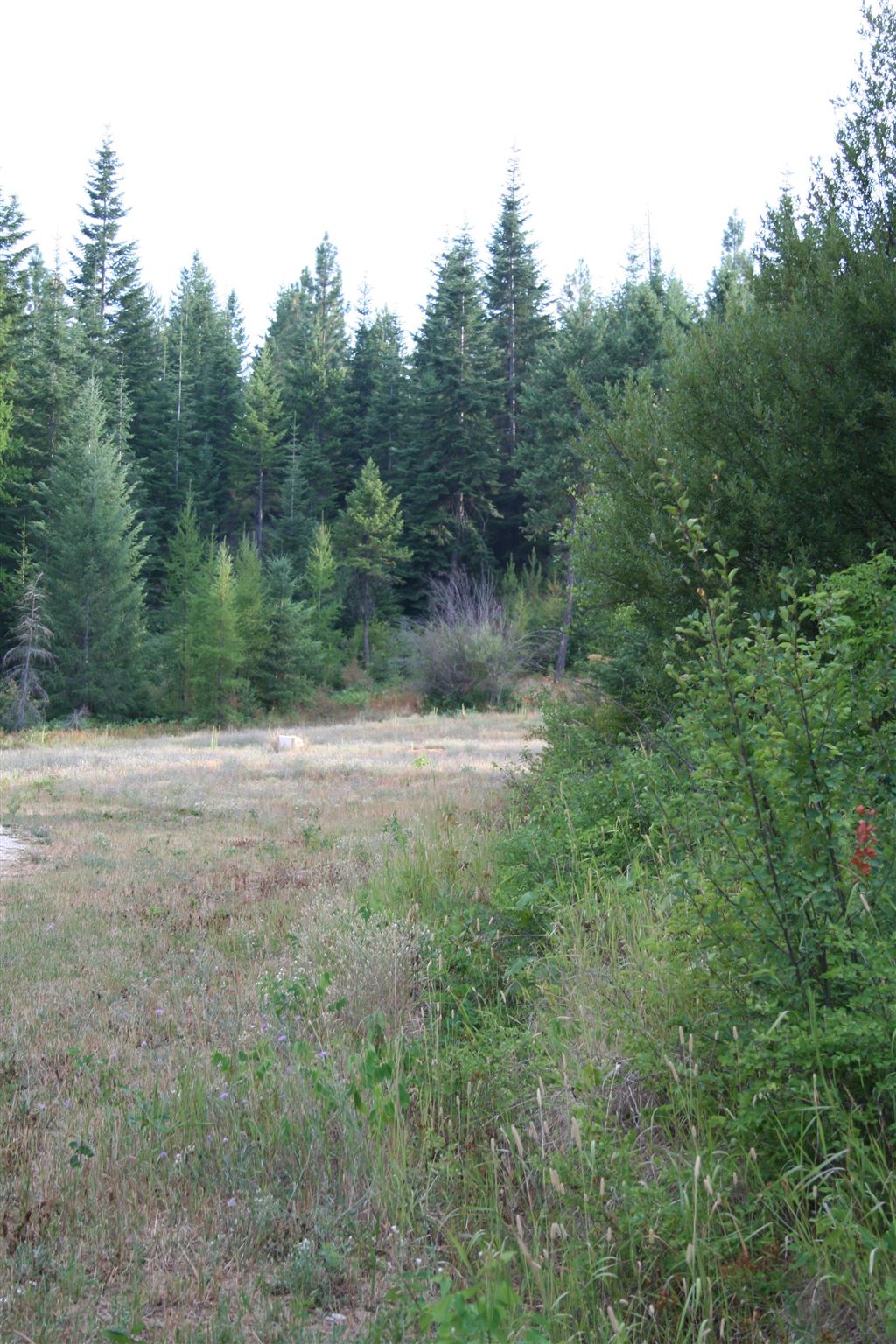 Xxxx Luther Road Springdale, WA 99173 - Photo 20 of 27