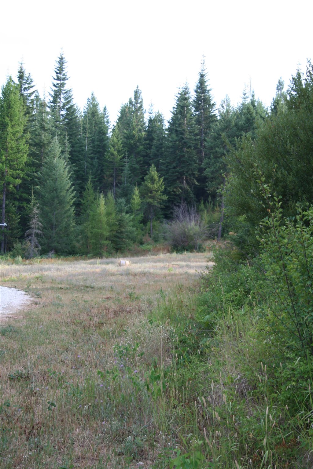 Xxxx Luther Road Springdale, WA 99173 - Photo 22 of 27