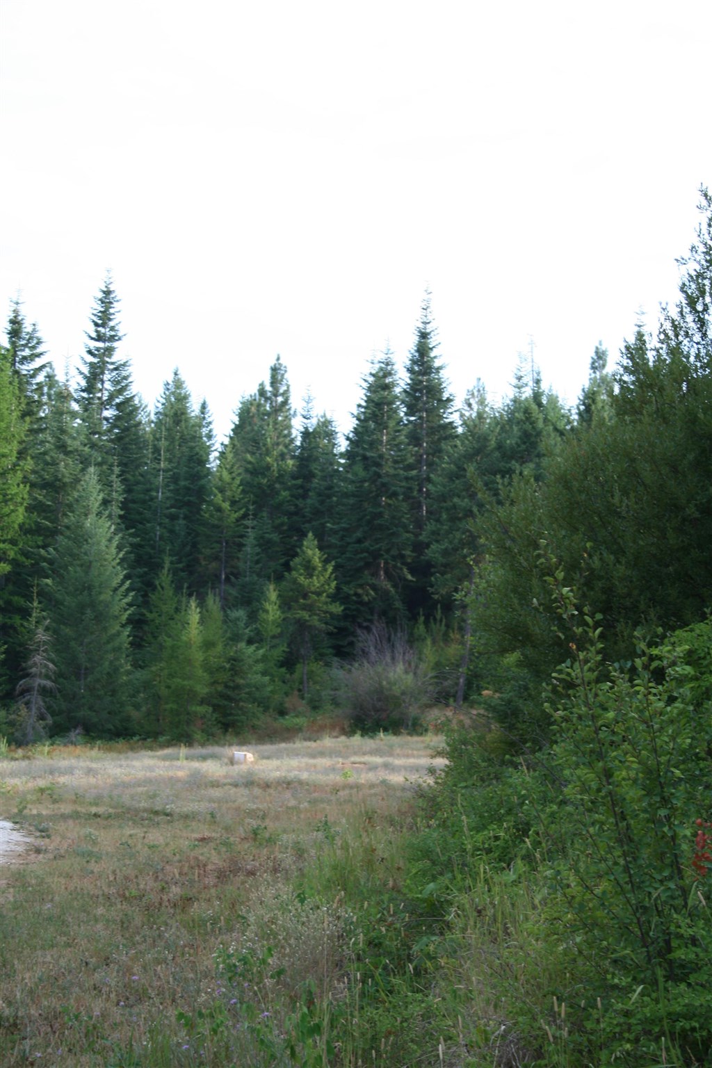 Xxxx Luther Road Springdale, WA 99173 - Photo 23 of 27