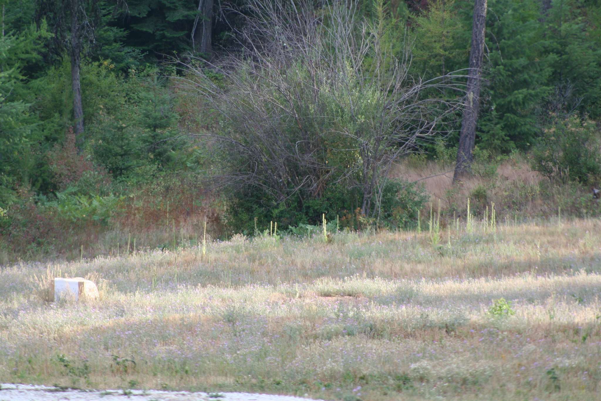 Xxxx Luther Road Springdale, WA 99173 - Photo 26 of 27
