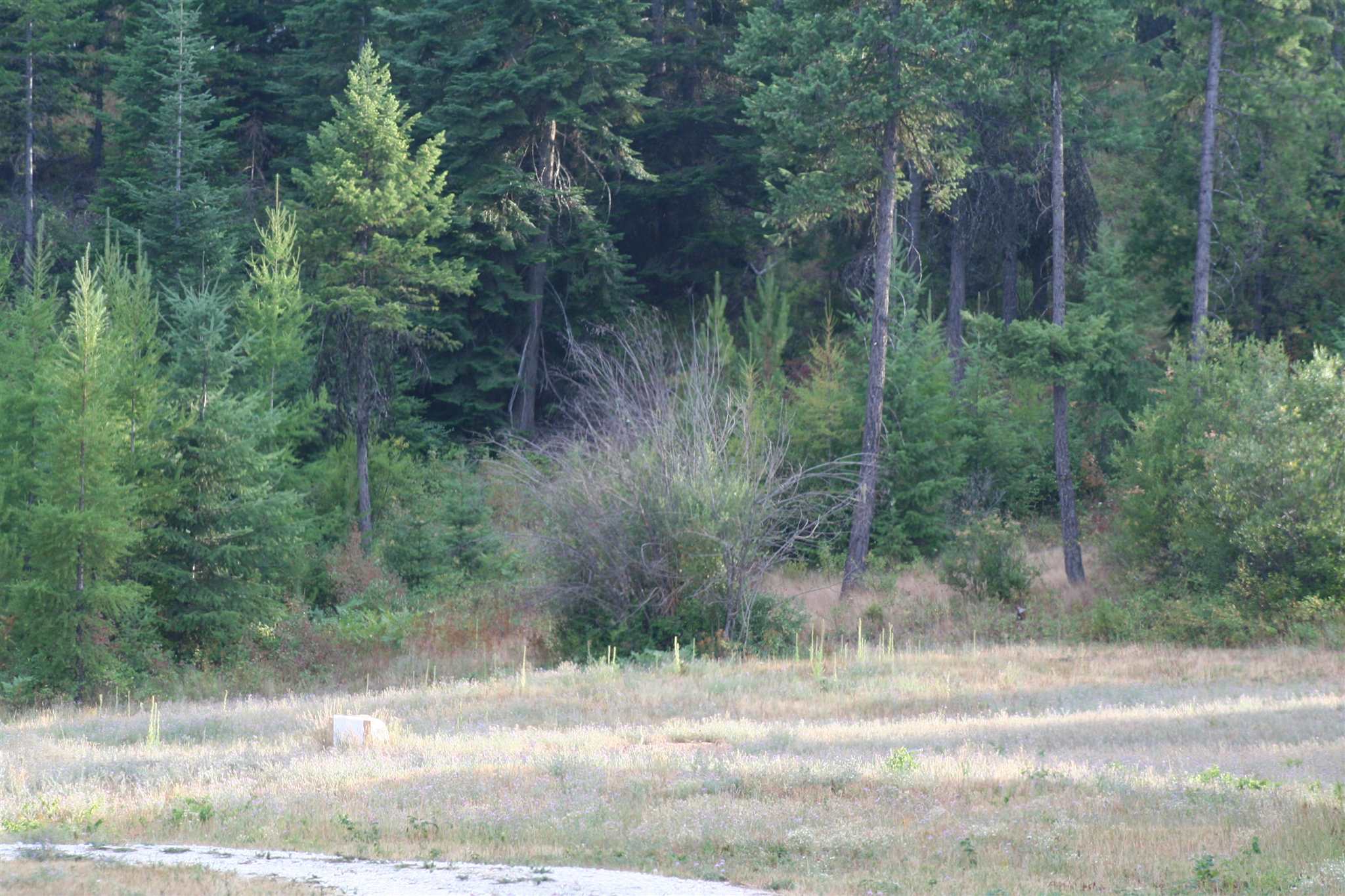 Xxxx Luther Road Springdale, WA 99173 - Photo 27 of 27