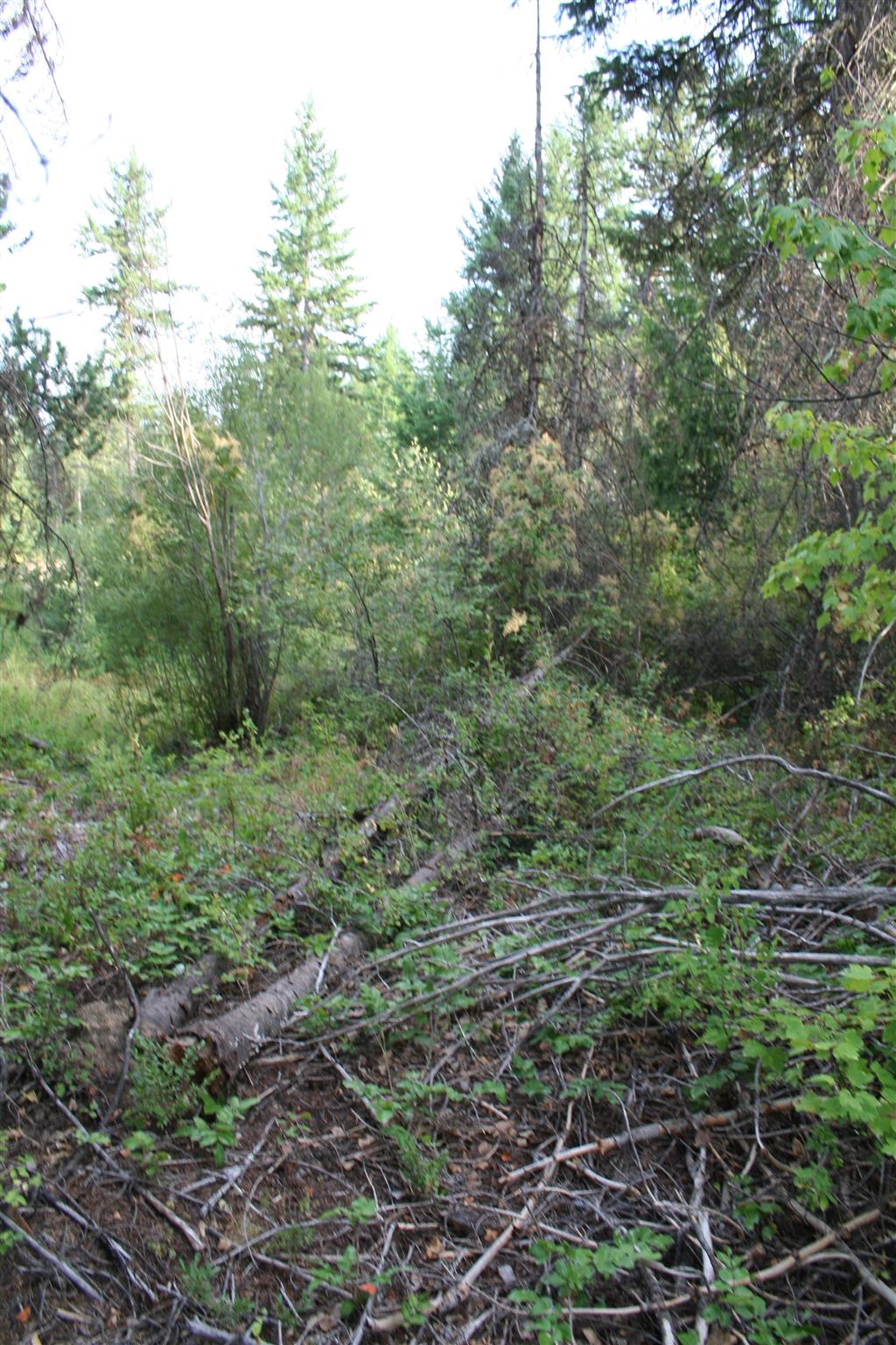Xxxx Luther Road Springdale, WA 99173 - Photo 7 of 27