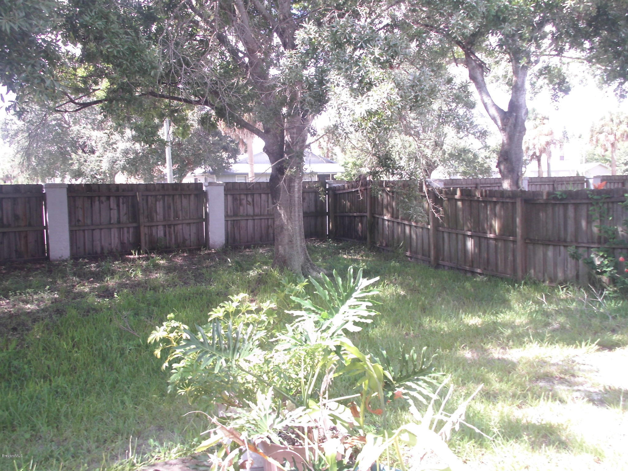 1616 Clover Circle Melbourne, FL 32935 - Photo 20 of 20 Back Yard