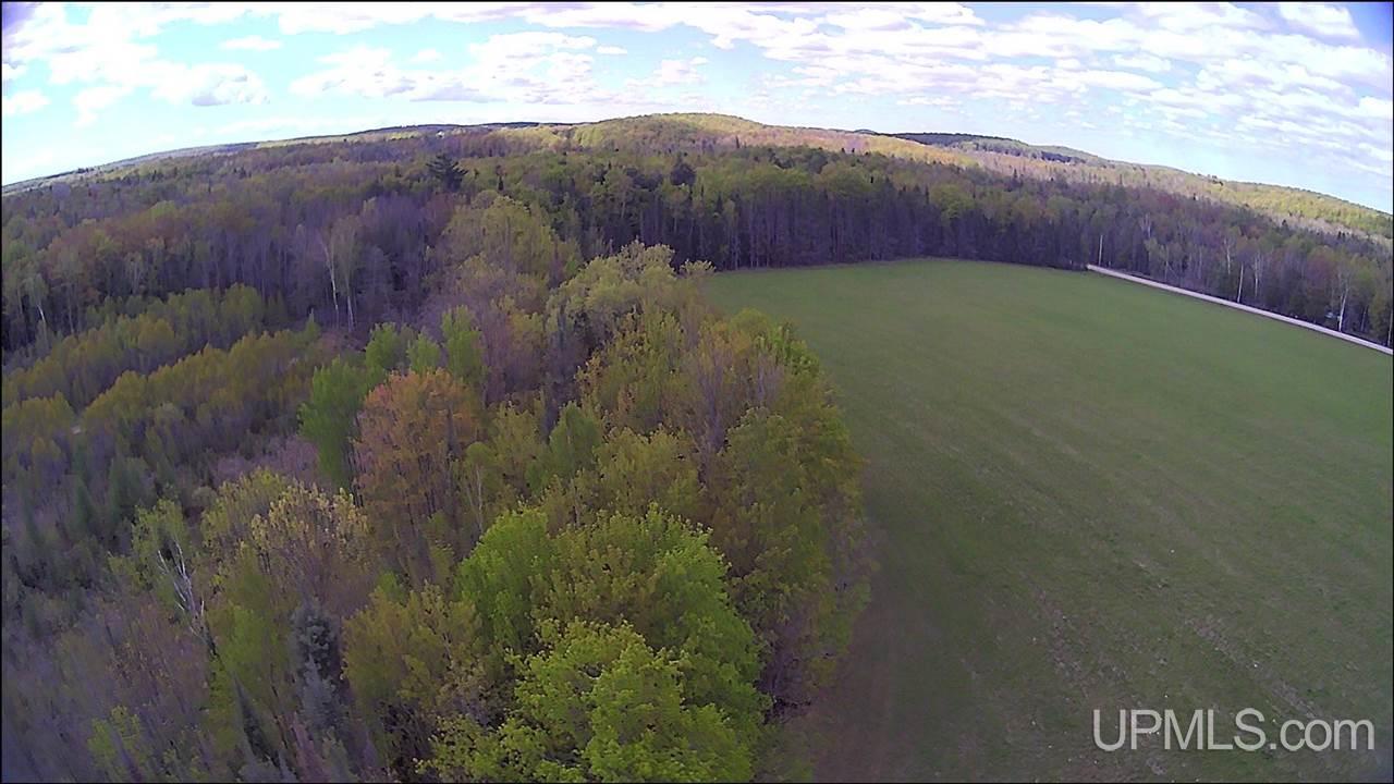 N19598 Swede Road Perronville, MI 49873 - Photo 6 of 59
