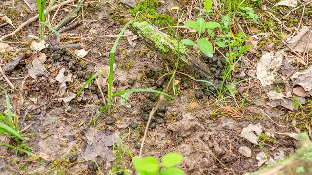 $410,550 | 0 Hwy V Owensville Mo 65066, Owensville, MO 65066