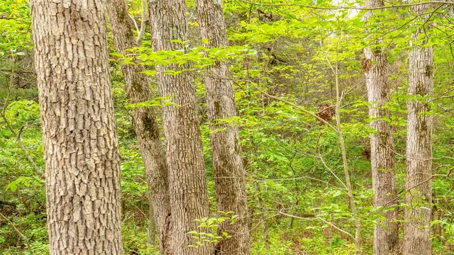 $410,550 | 0 Hwy V Owensville Mo 65066, Owensville, MO 65066