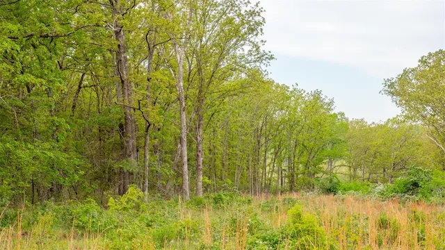 $410,550 | 0 Hwy V Owensville Mo 65066, Owensville, MO 65066