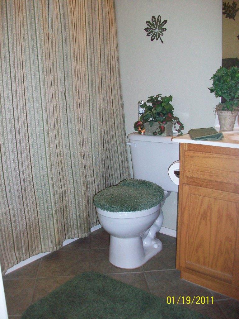 14864 West Hearn Road Surprise, AZ 85379 - Photo 27 of 32 bathroom 2
