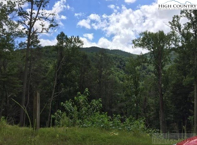 Woodby Ridge Road Vilas, NC 28692 - Photo 1 of 7 Gallery Image 1