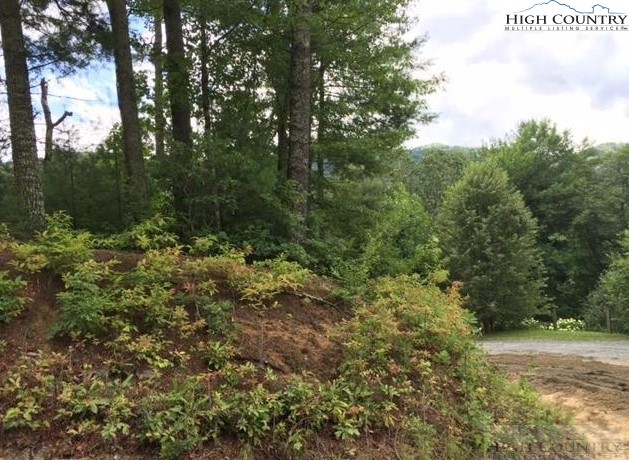 Woodby Ridge Road Vilas, NC 28692 - Photo 7 of 7 Gallery Image 7