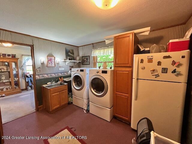 3375 East Wilson Road Ashley, MI 48806 - Photo 19 of 30 IMG_1184