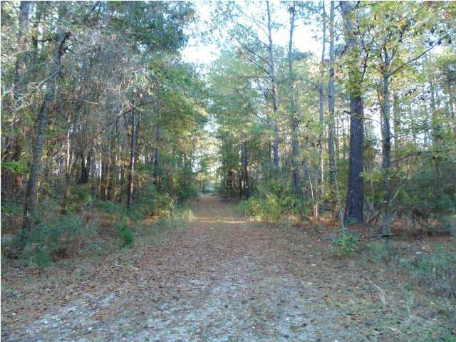 0 Rivers Reach Drive Wando, SC 29492 - Photo 3 of 12 Additional Photo