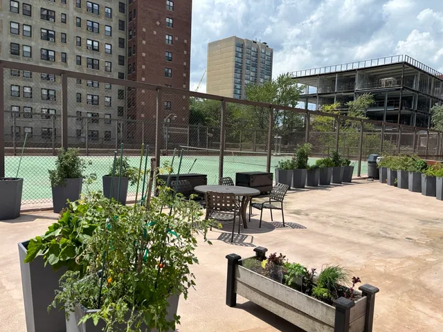 a view of a patio with couches table and chairs and potted plants