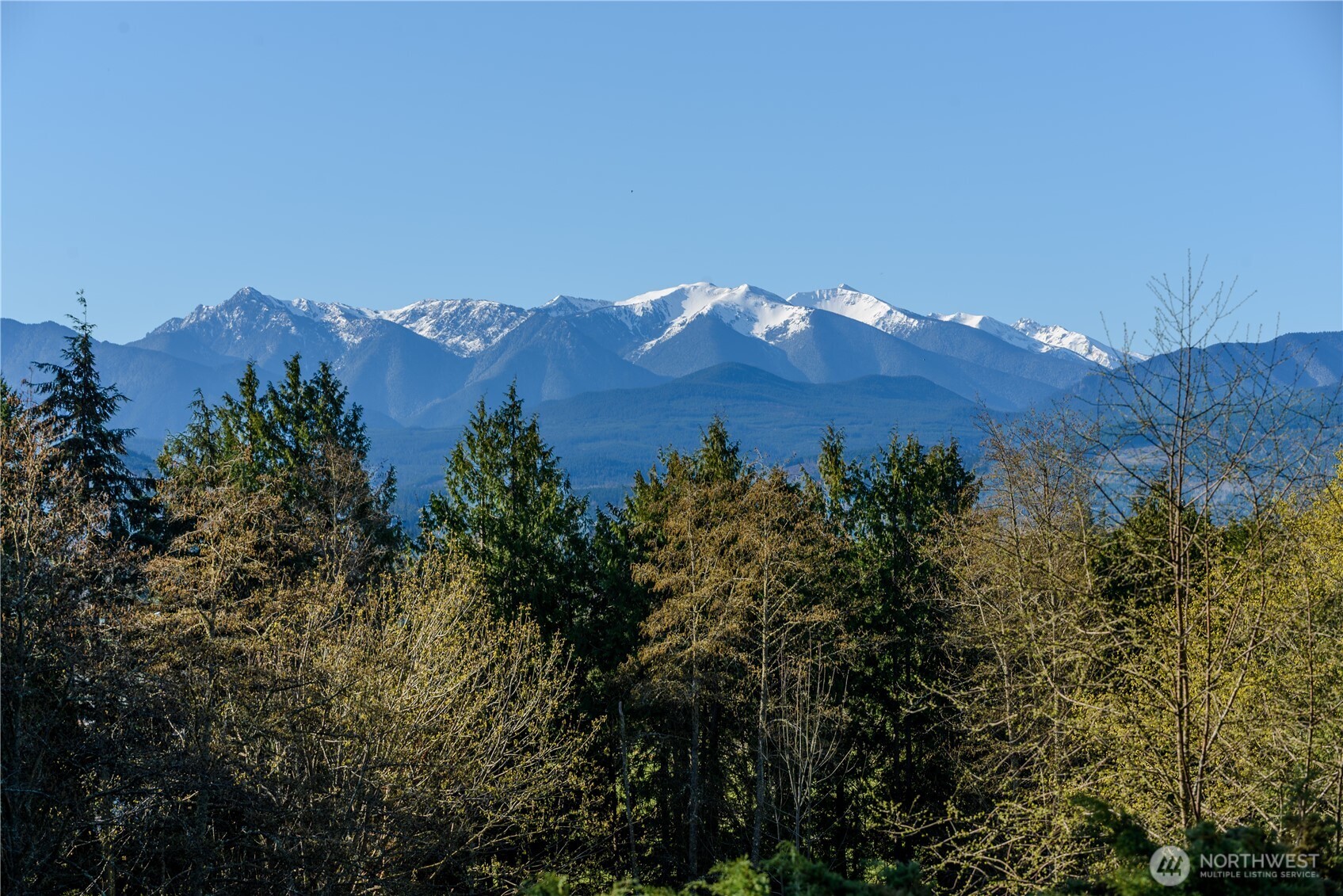 193 Snowberry Lane Sequim, WA 98382 - Photo 7 of 40 a view of a sky in a city