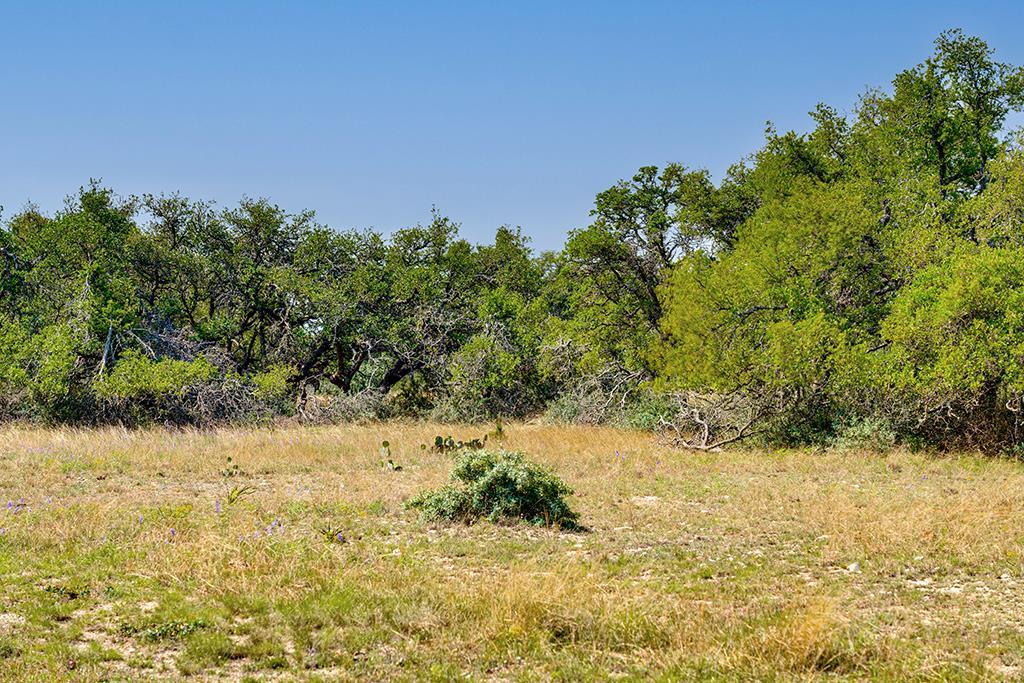0 Maner Road Fredericksburg, TX 78624 - Photo 2 of 26 a view of a yard covered with snow in back