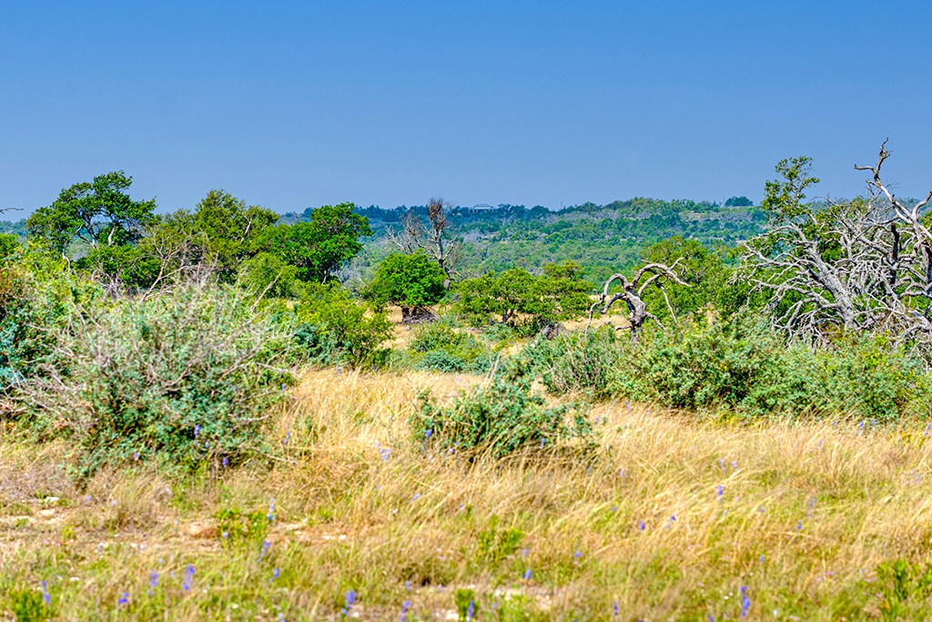 0 Maner Road Fredericksburg, TX 78624 - Photo 25 of 26 a view of a garden